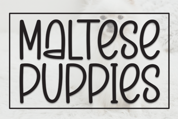 Maltese Puppies: A Charming Typeface for Editorial Design