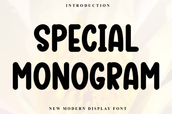 Special Monogram: A Premium Display Typeface for Campaign Design